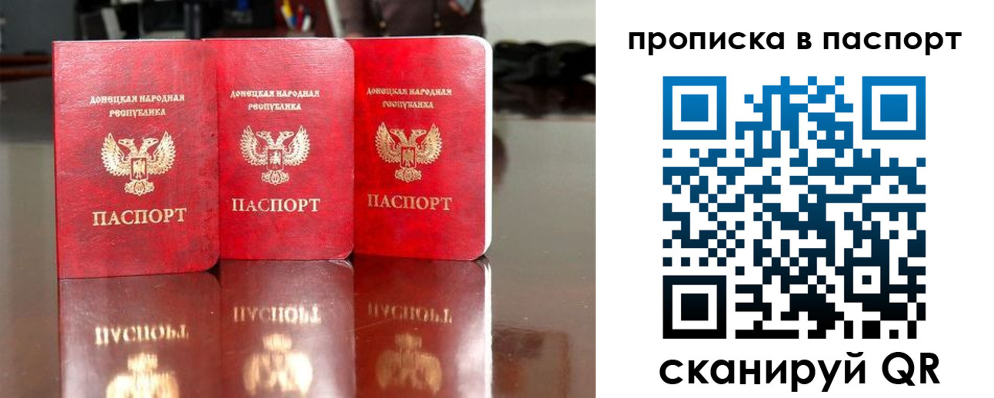 прописка поиск в Торопеце